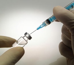Hy vọng mới về vắcxin phòng sốt rét 